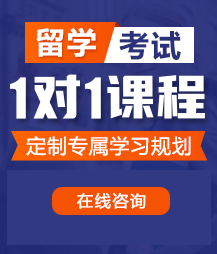 男人日皮视频高清网留学考试一对一精品课